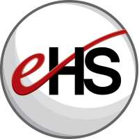eHealthcare Solutions Logo