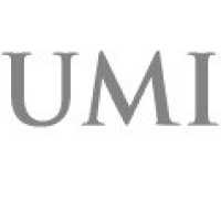UMI Stone Logo