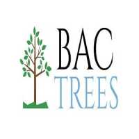BAC Trees Logo