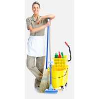 TMS Cleaning Services Inc. - Carpet Rug Janitorial & Deep Cleaning Services Logo