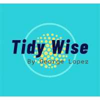 Tidy Wise By George Lopez Logo