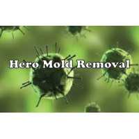 Hero Mold Removal - VA Beach Logo