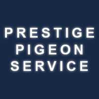 Prestige Pigeon Service Logo