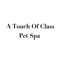 A Touch Of Class Pet Spa Logo
