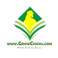 GROWCHICKS Logo
