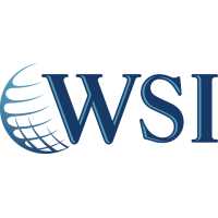 WSI- Optimized Web Solutions Logo