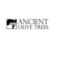 Ancient Olive Trees Logo