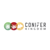 Conifer Kingdom Logo