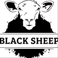 Black Sheep Design Team Logo