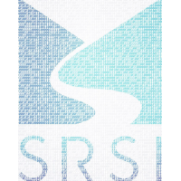 Slate River Systems, Inc Logo