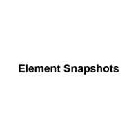 Element SnapShots Logo