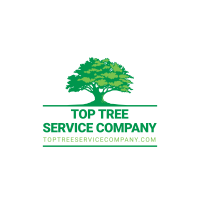 Top Tree Service Company - Tree Trimming, Stump Removal, Land Clearing, Decatur, GA Logo