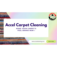 Accel Carpet, Tile and Hardwood Cleaning-Bellevue Logo