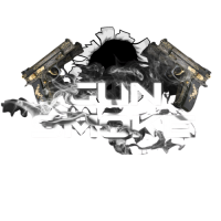 Gunsmoke 313 Logo