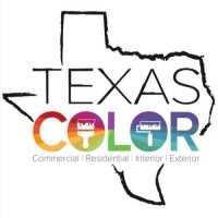 Texas Color Painting Logo