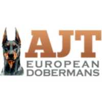 AJT European Dobermans Logo