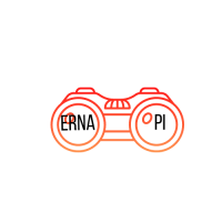 Erna PI and Insurance Agency Logo