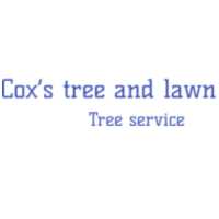 Coxs tree and lawn care LLC Logo