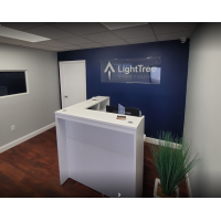 LightTree Business IT Support of Tampa Bay Logo