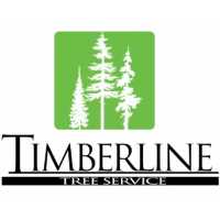 T R Timberline Tree Service Logo