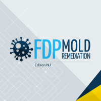 FDP Mold Remediation of Edison Logo