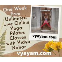 Vyayam Logo
