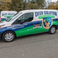 Deer Solution - Repellent Service Logo