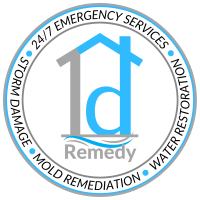 1d Remedy Logo