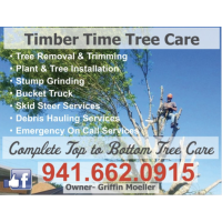 Timber Time Tree Care LLC Logo