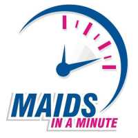 Maids In A Minute Of Ann Arbor Logo
