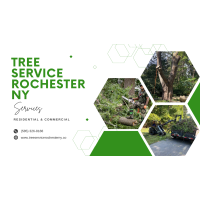 Tree Service Rochester NY Logo