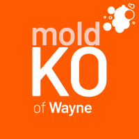 Mold KO of Wayne Logo
