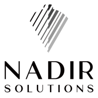 Nadir Solutions - Premium Firearms & Accessories Logo
