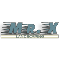 Mr. X Logo