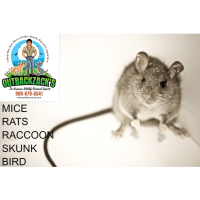 Outbackzack's Nuisance Animal Removal Logo