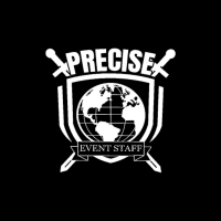 Precise Global Protection Services Logo