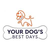 Your Dog's Best Days Logo