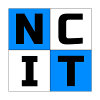 Nathan Ciraulo IT Consulting Logo