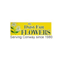 The Daisy Fair Flowers Logo
