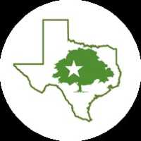 Specialty Tree Care of Austin LLC. Logo