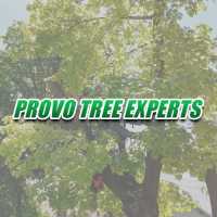 Provo Tree Experts Logo