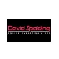 David Spalding Online Marketing & SEO Agency Logo