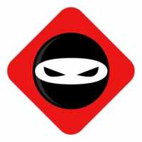 Crawl Space Ninja of Athens Logo