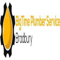 BigTime Plumber Service Logo