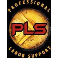 Professional Labor Support LLC. Logo
