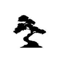 Bonsai Architectural Designs Logo
