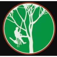 Dinah Tree Service Boulder Logo