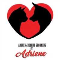 Above & Beyond Grooming by Adriene - Mobile Logo