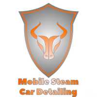 Arlington Mobile Steam Car Detailing Logo