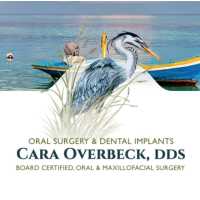 Blue Heron Dental Implants and Oral Surgery Logo